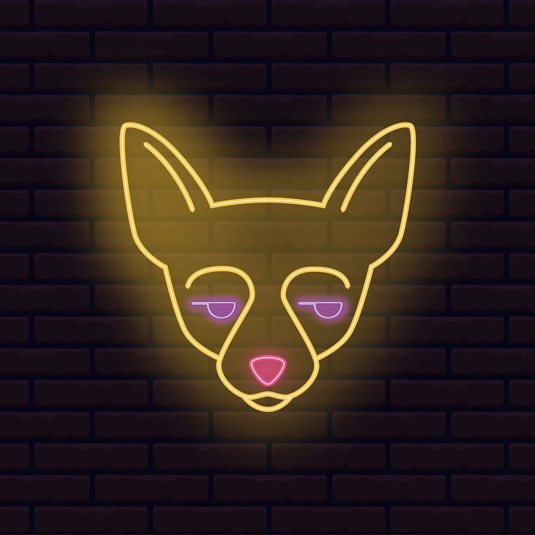 Cat Neon Sign
